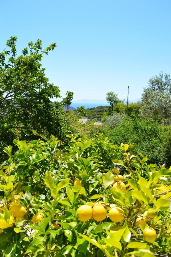 Alikias Country House Panormos  Exterior photo