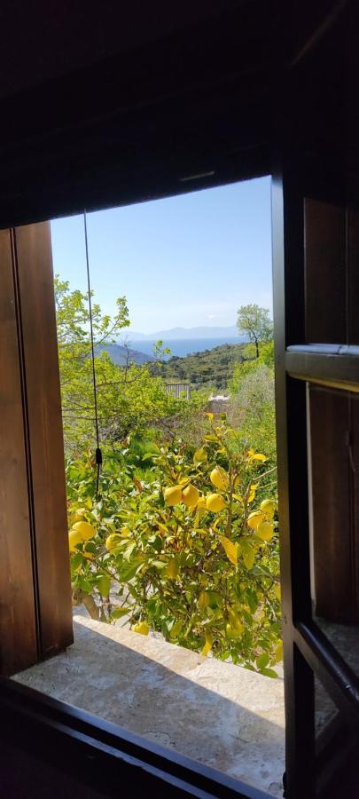 Alikias Country House Panormos  Exterior photo